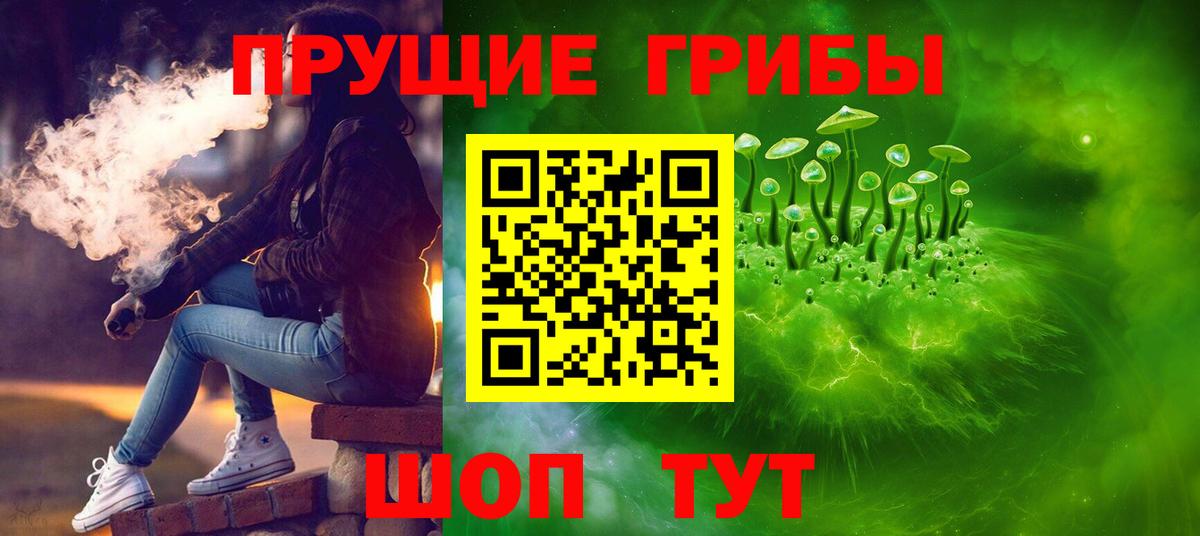Галлюциногенные грибы Psilocybine cubensis Лениногорск
