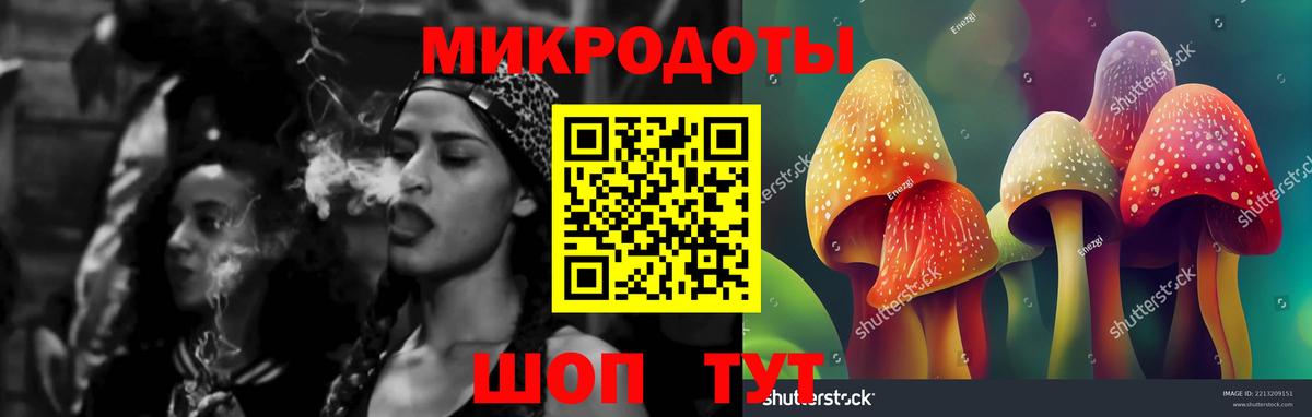 где продают   Псилоцибиновые грибы прущие грибы  Вход с VPN  Лениногорск  Псилоцибиновые грибы мицелий 
